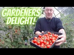 gardeners delight gardening allotment