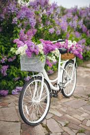 We did not find results for: 1 565 White Retro Bicycle Basket Flowers Photos Free Royalty Free Stock Photos From Dreamstime