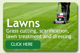 Grass Cutting Services Lawn Care Garden Care Grounds