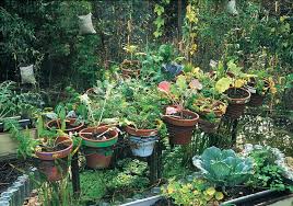 Diy Kitchen Garden Container Ideas