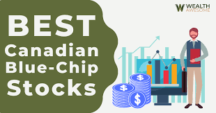 11 best canadian blue chip stocks for