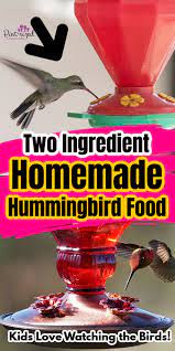 homemade hummingbird food the easiest