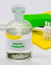 Solved Does Vinegar Kill Mold The
