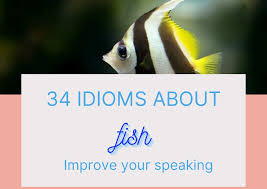 34 awesome fishy sayings how to speak