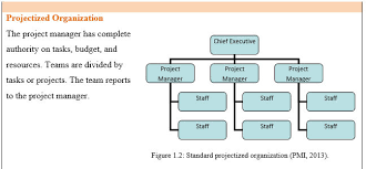 Projectmanagement Com Program Organization Structures