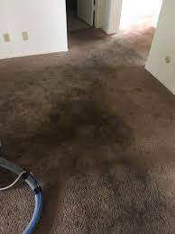 clovis carpet cleaning yosemite