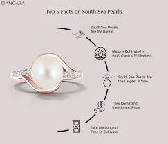 top 5 facts on south sea pearls