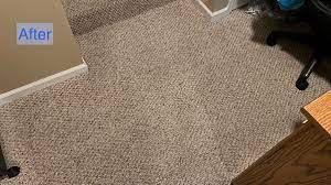 blue bear carpet care carpet cleaners