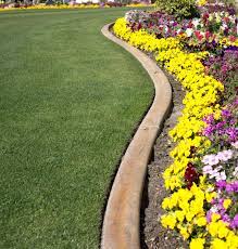 15 best garden edging ideas and