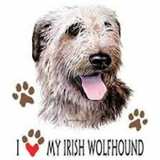 Details About Irish Wolfhound Love T Shirt Pick Your Size 7 X Large To 14x Large