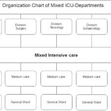 The Mixed Icu Model Organization Chart Of The Intensive