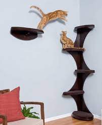 Modern Cat Furniture Design Ideas Wall