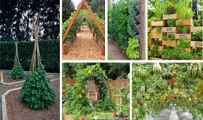 Diy Vertical Vegetable Garden Ideas To