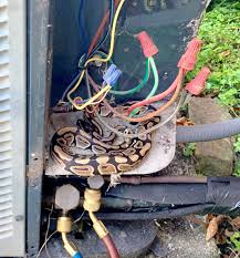 Wiring diagrams help technicians to find out how a controls are wired to the system. Whoa Python Found In Ac Unit Startles Technician Homeowner