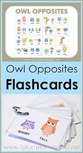 Maybe you would like to learn more about one of these? Owl Opposites Flashcards Free Printable 1 1 1 1