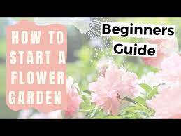A Flower Garden For Beginners