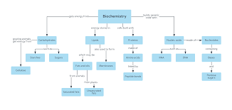 Biochemistry Concept Map Template Lucidchart