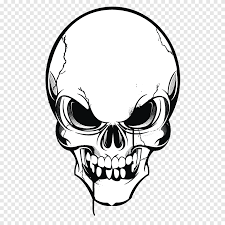 human skull symbolism drawing skull