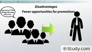 What Is A Flat Structure In An Organization Definition Advantages Disadvantages