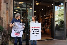 Protesters Fight Against Animal