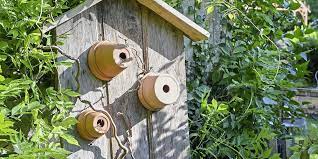 pots de fleurs en nichoirs pour oiseaux