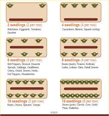 Earthbox Planting Guide For Spacing Vegetables Container