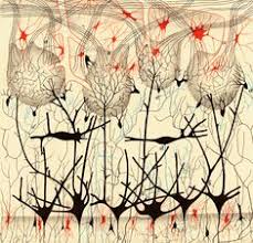 140 ideas de Santiago Ramón y Cajal | neuronas, ramones, santiago