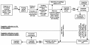 Flow Chart Showing Floating And Associated Winter Vegetable