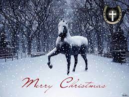 Download Wallpapers Horse In Snow (1024 ...
