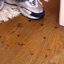 remove burn marks on a hardwood floor