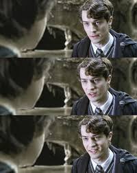 769k likes · 883 talking about this. Pin By Rua Pandao On Hp Má»¹ Nam Hogwarts Young Tom Riddle Tom Riddle Diary Tom Riddle