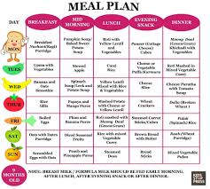 6 Month Baby Food Diet Chart