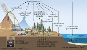carbon sequestration definition