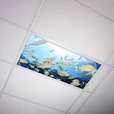 fluorescent light covers for ceiling