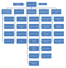 Nwhc Organization Chart