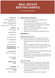 real estate agent resume & writing