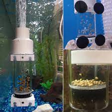why do we need the birthing tank for fish
