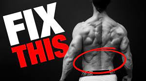 Learn about these muscles, their locations the image below to shows all the major back muscles (as well as some neck muscles): How To Get A Strong Low Back Do This Every Day Youtube