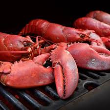 Learn How To Cook Live Lobsters At Home Maine Lobster Now