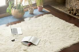 choosing the best carpet for your home