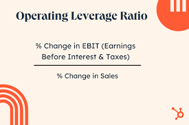 leverage ratio what it means and how