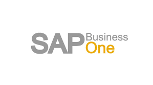 Sap Business One Professional