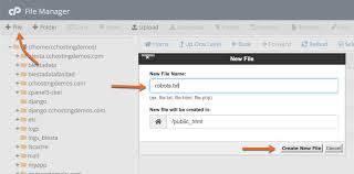 how to use file manager in cpanel