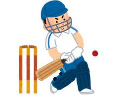インドで大人気、クリケットというスポーツを知っていますか？その魅力をご紹介！わたなべ （インドインターン日記 vol.60） – NPO法人わぴねす