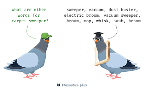 carpet sweeper synonyms similar words