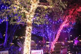 Holiday Lights Spectacular Sarasota Jungle Gardens