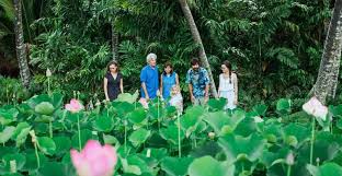 Kauai Allerton Garden And Estate Tour