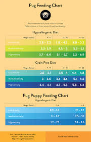 Pug Feeding Guide Lovejoys