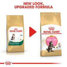 royal canin feline breed maine dry
