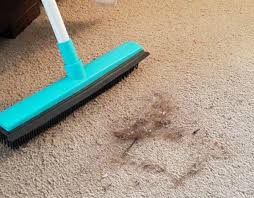 genius carpet cleaning hack